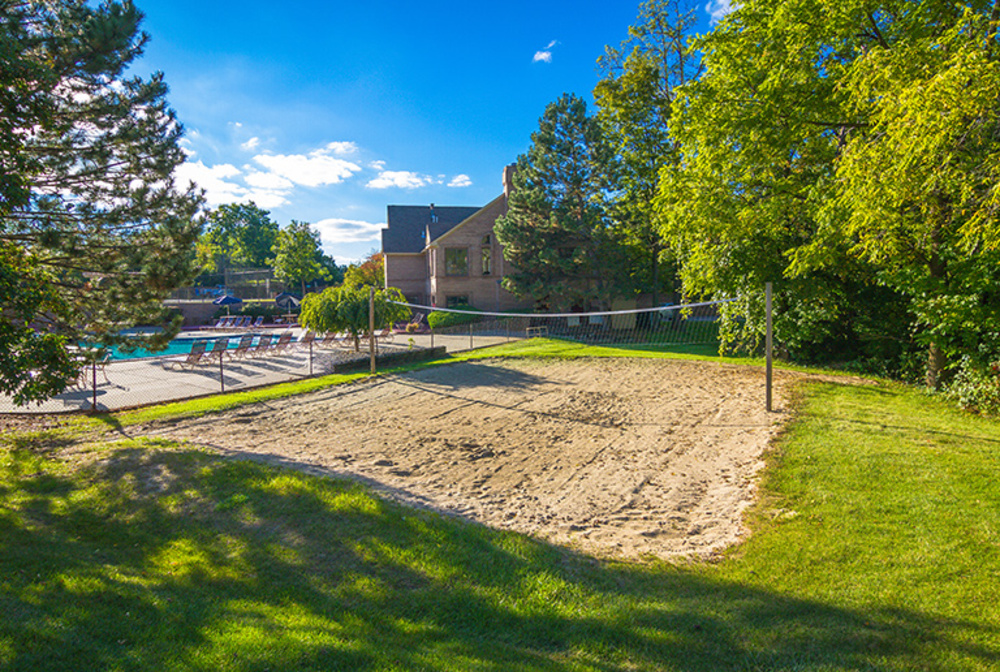 Saddle Creek Image 6