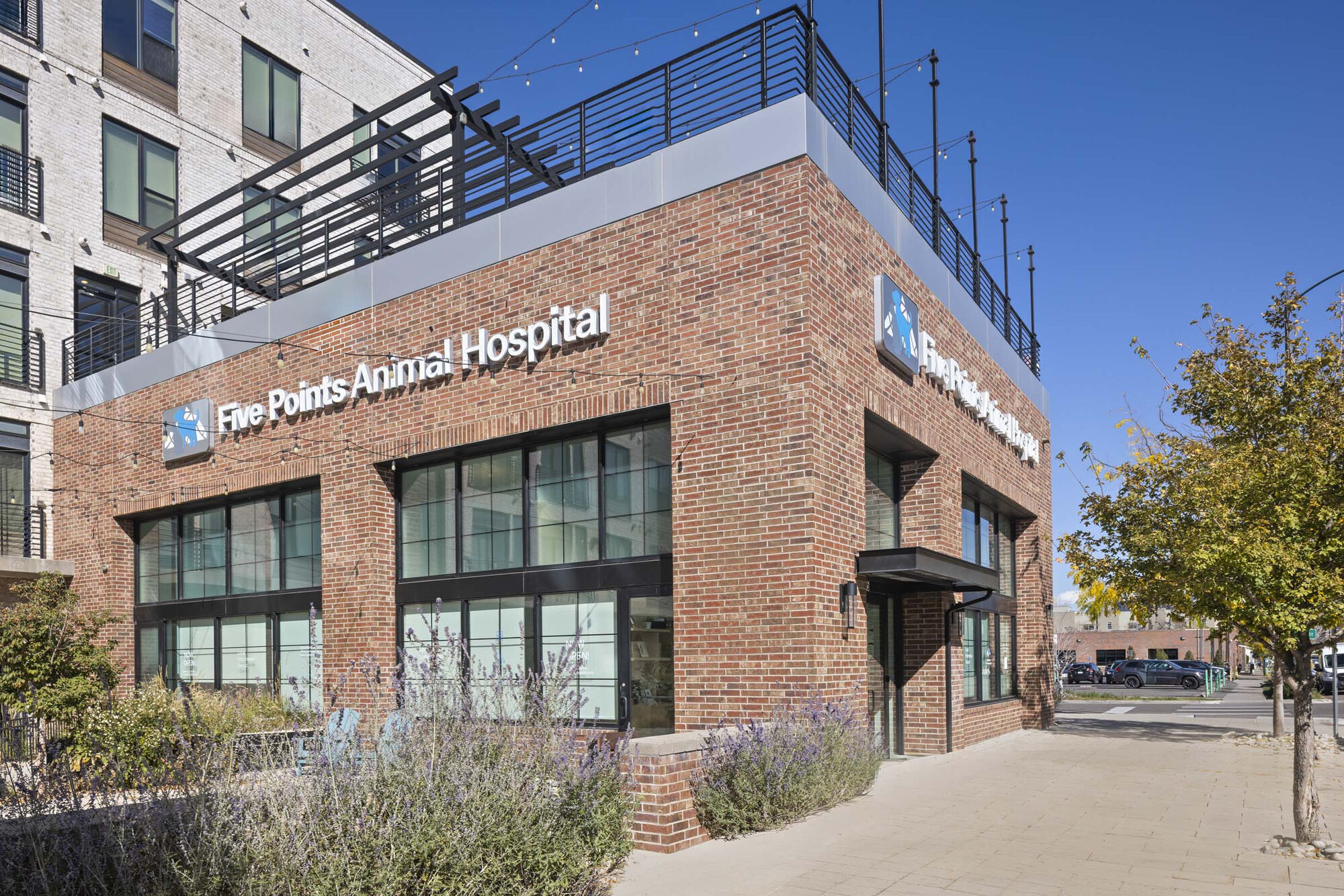 Camden RiNo Image 41