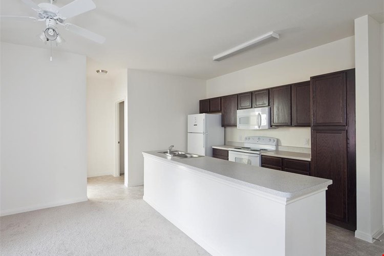 Golden Bamboo Village III Image 5