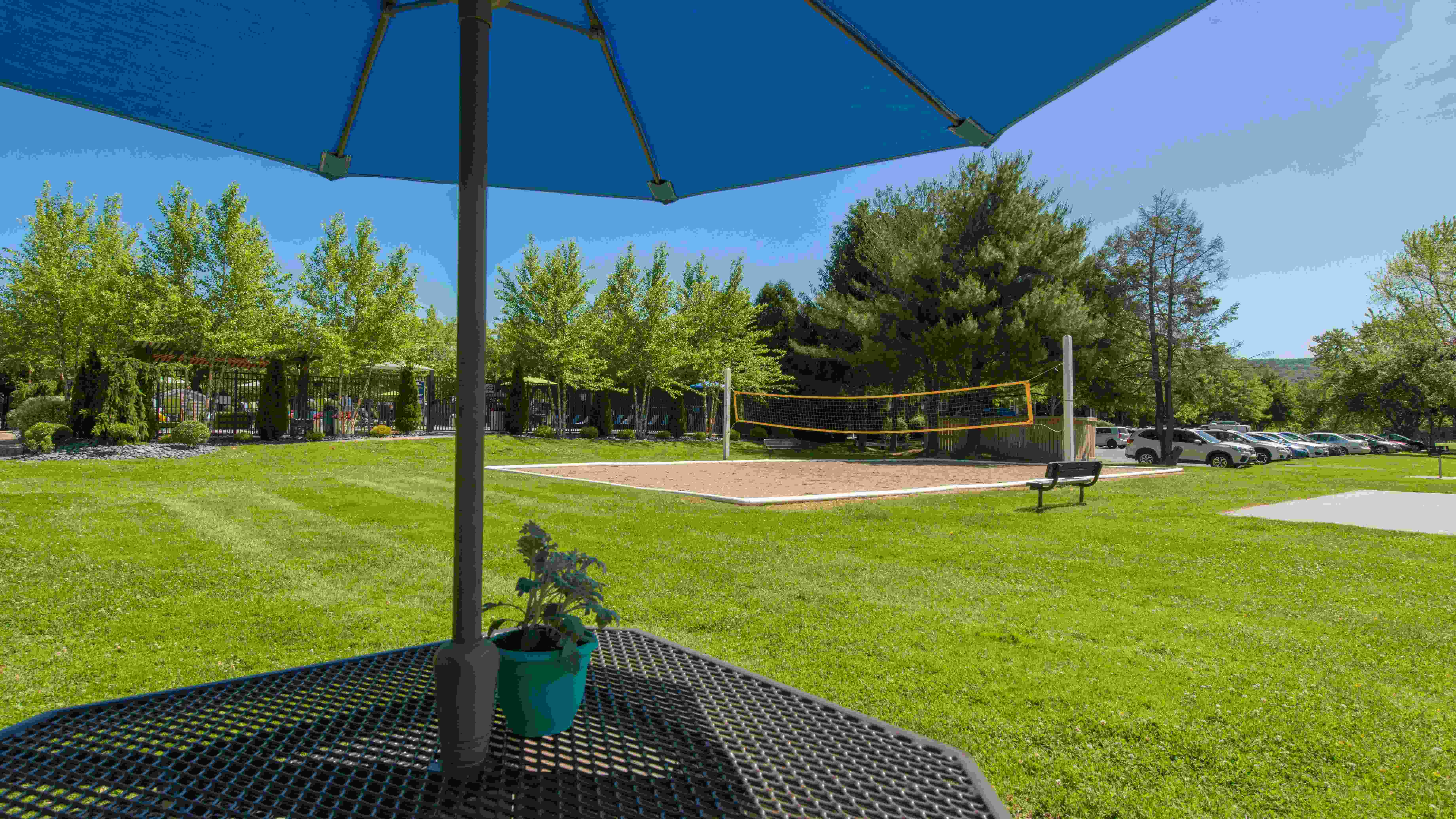 Enjoy delightful picnics at our shaded tables, complete with charcoal grills. 