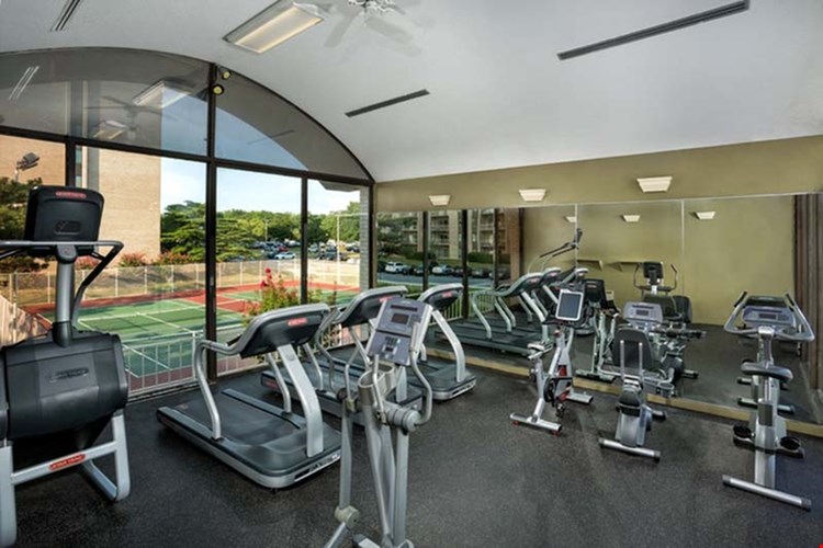 Seven Springs Image 5