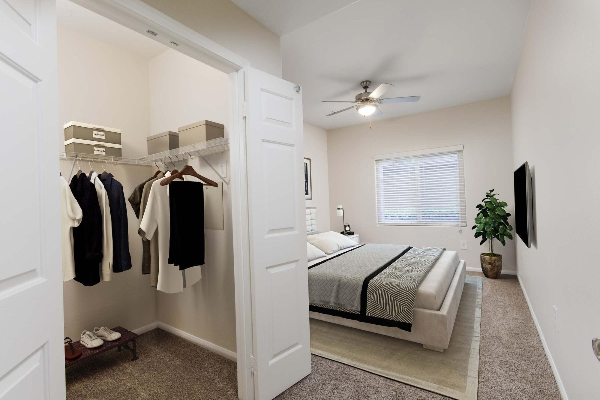 Camden Sierra at Otay Ranch Image 13