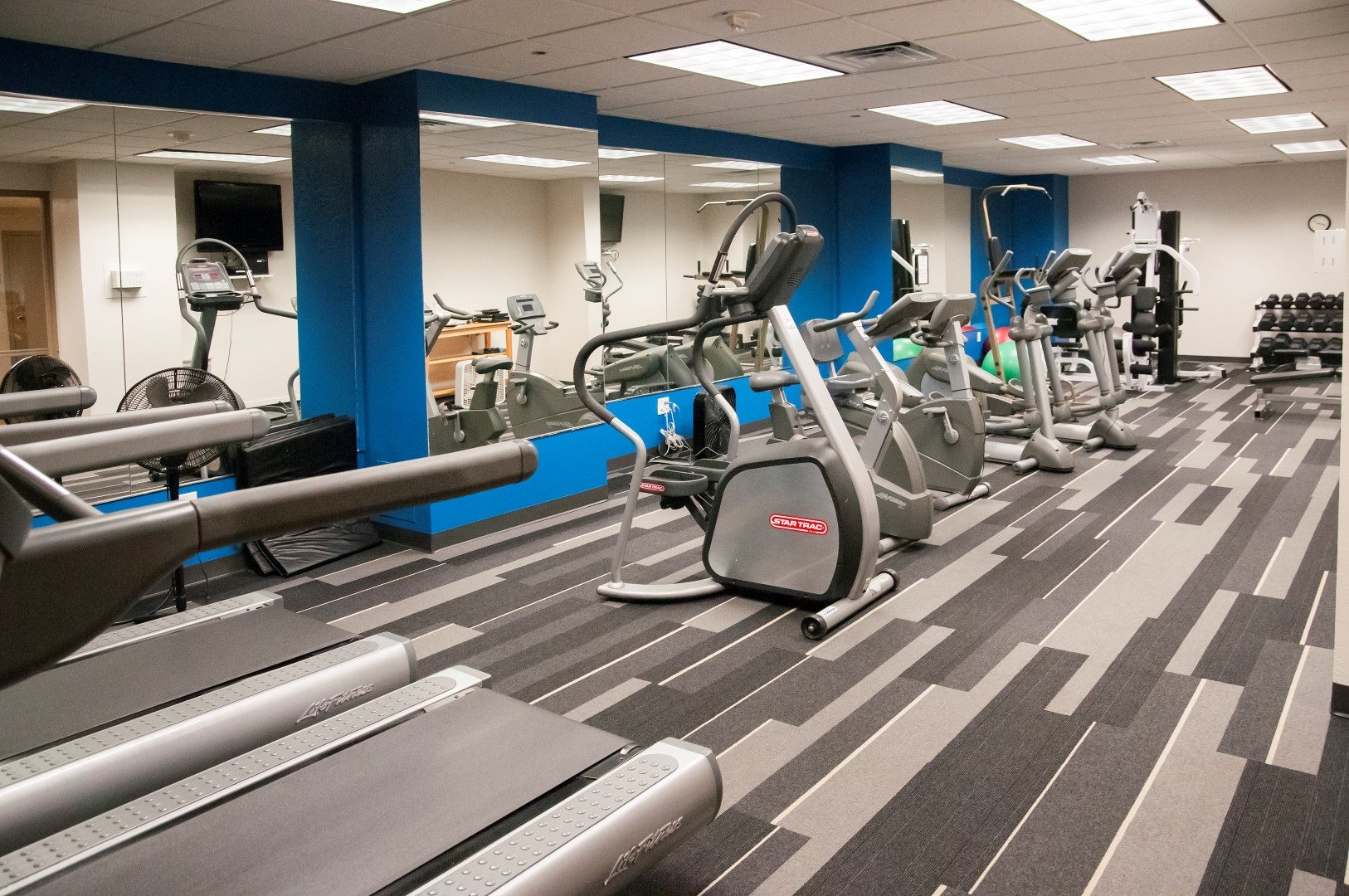 The Original Image 7