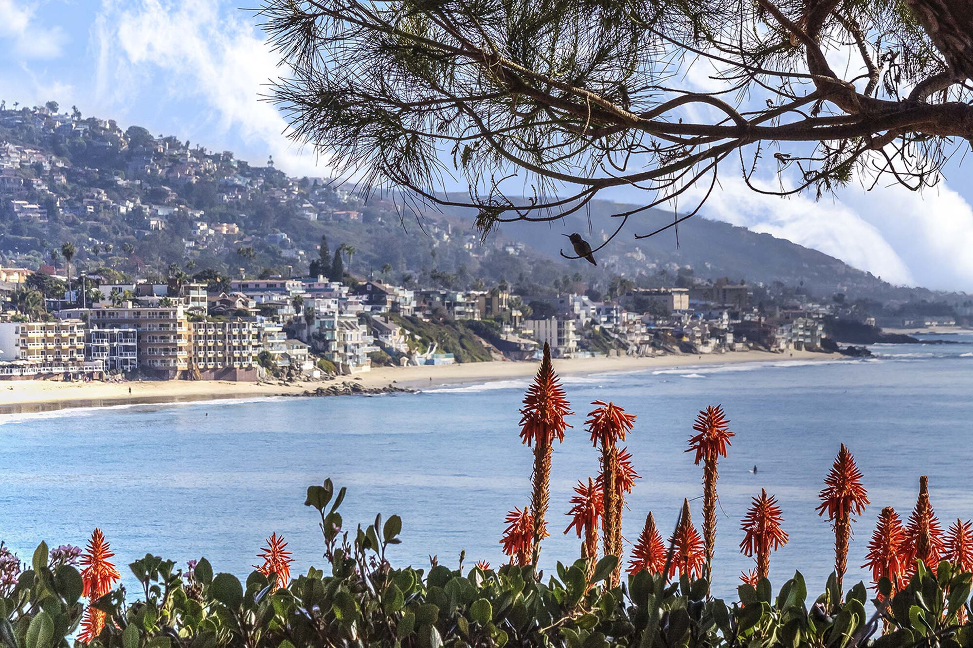 Camden Crown Valley Image 40