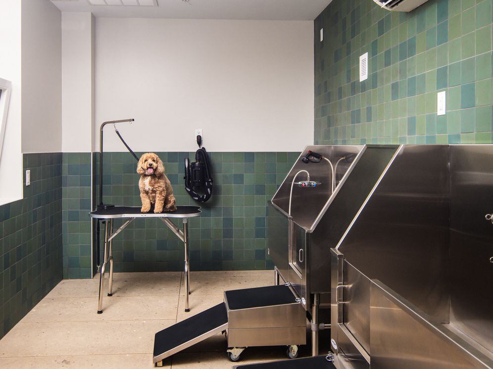 Pet-friendly community with WAG Pet Spa