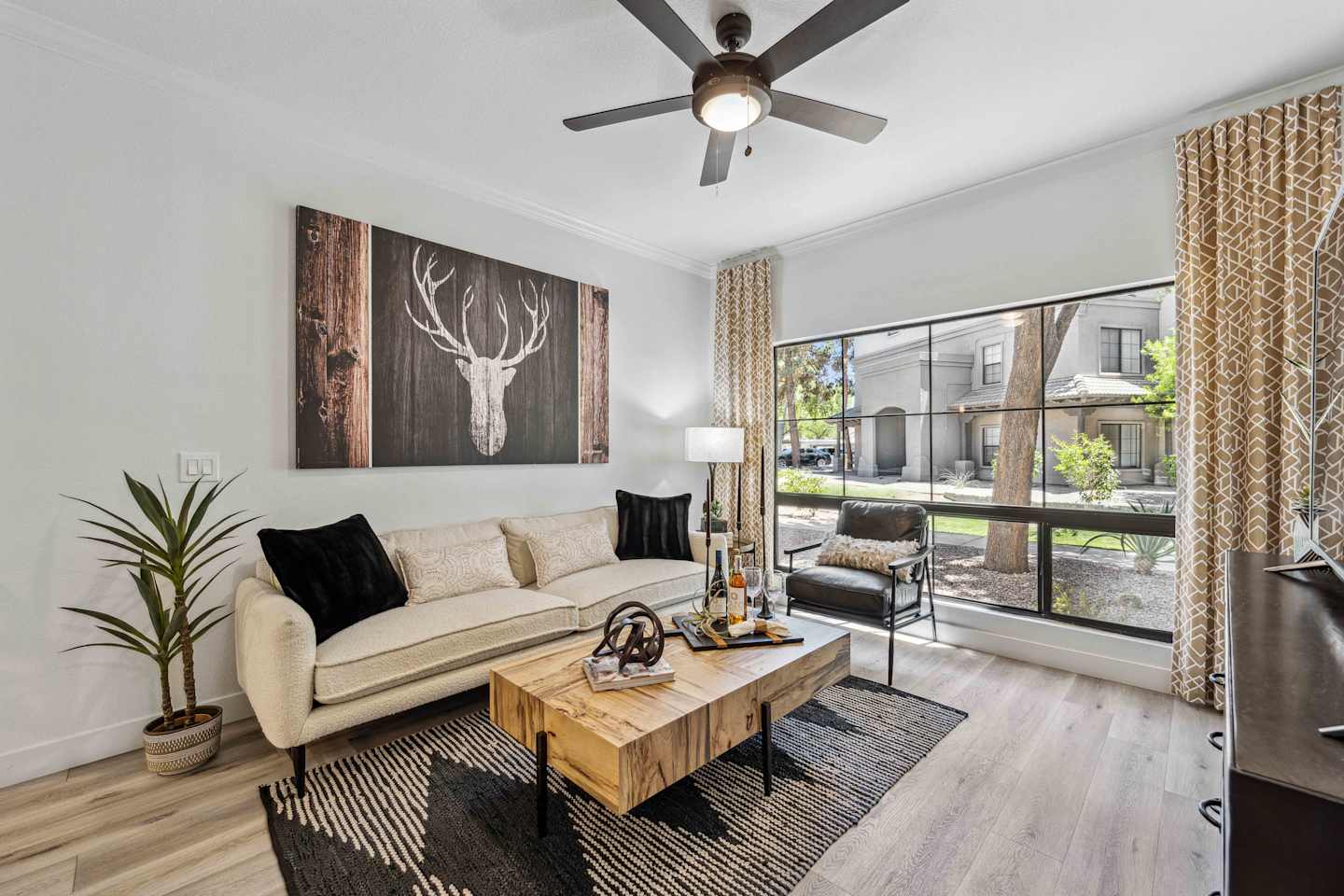 Lazo Apartments Image 1