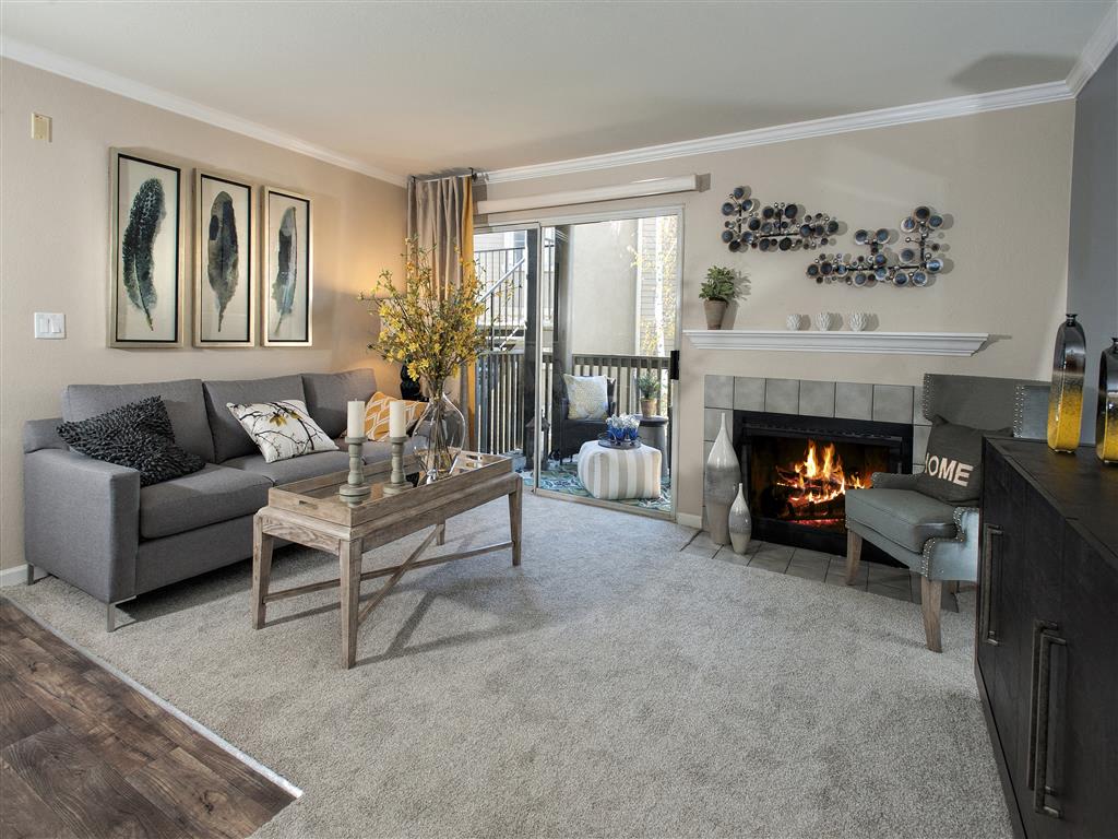 Mill Springs Park Apartment Homes Image 4