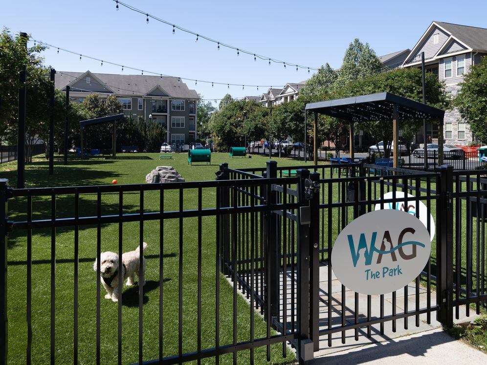 WAG pet park