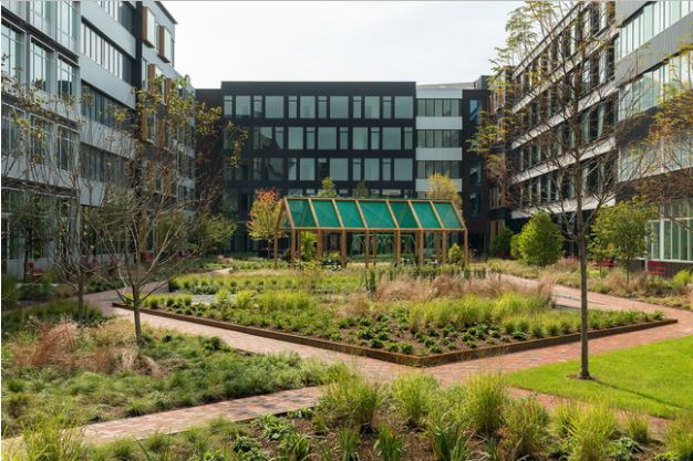 Harrison Urby Image 20