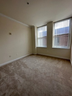 Standard Image 10