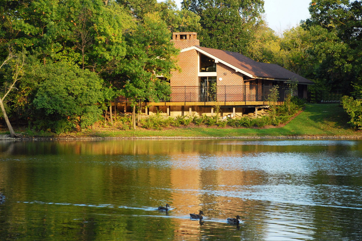 The Treehouse of Schaumburg Image 21