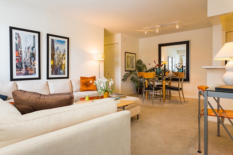 Saddle Creek Image 61