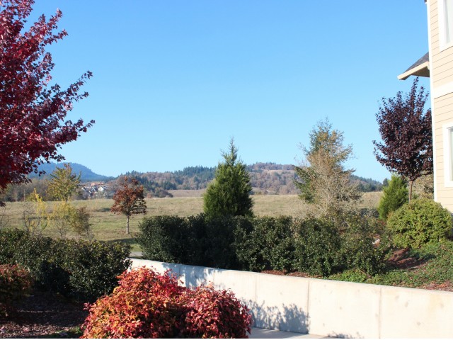 Timberhill Meadows Apartments Image 9