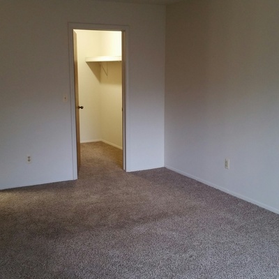 Strawberry Lane Image 13