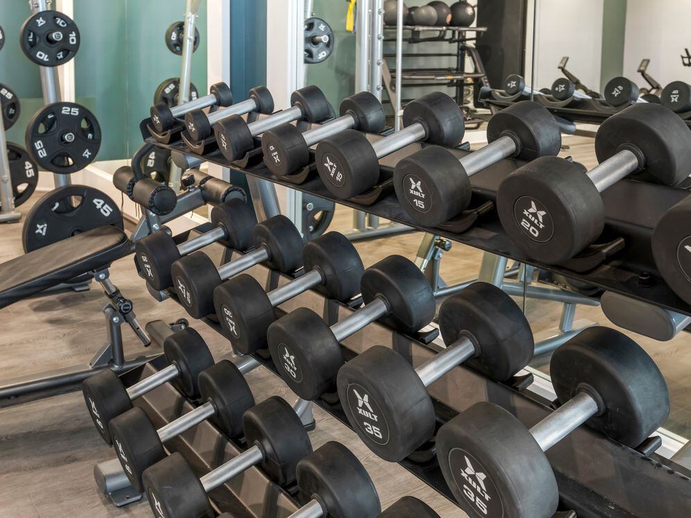 Fitness center with strength equipment