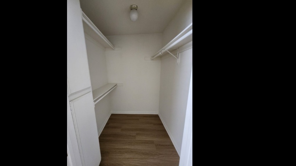 Apollo Apartments Image 14