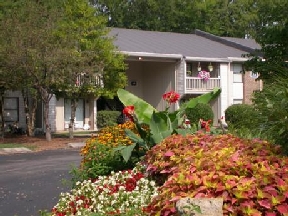 Ashwood Cove Image 5
