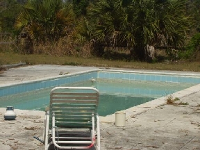 Palm Beach Little Ranch Image 6