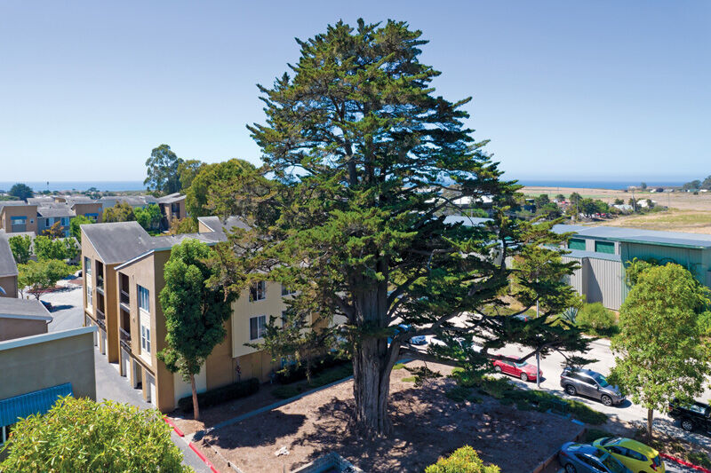 Pacific Shores Image 15