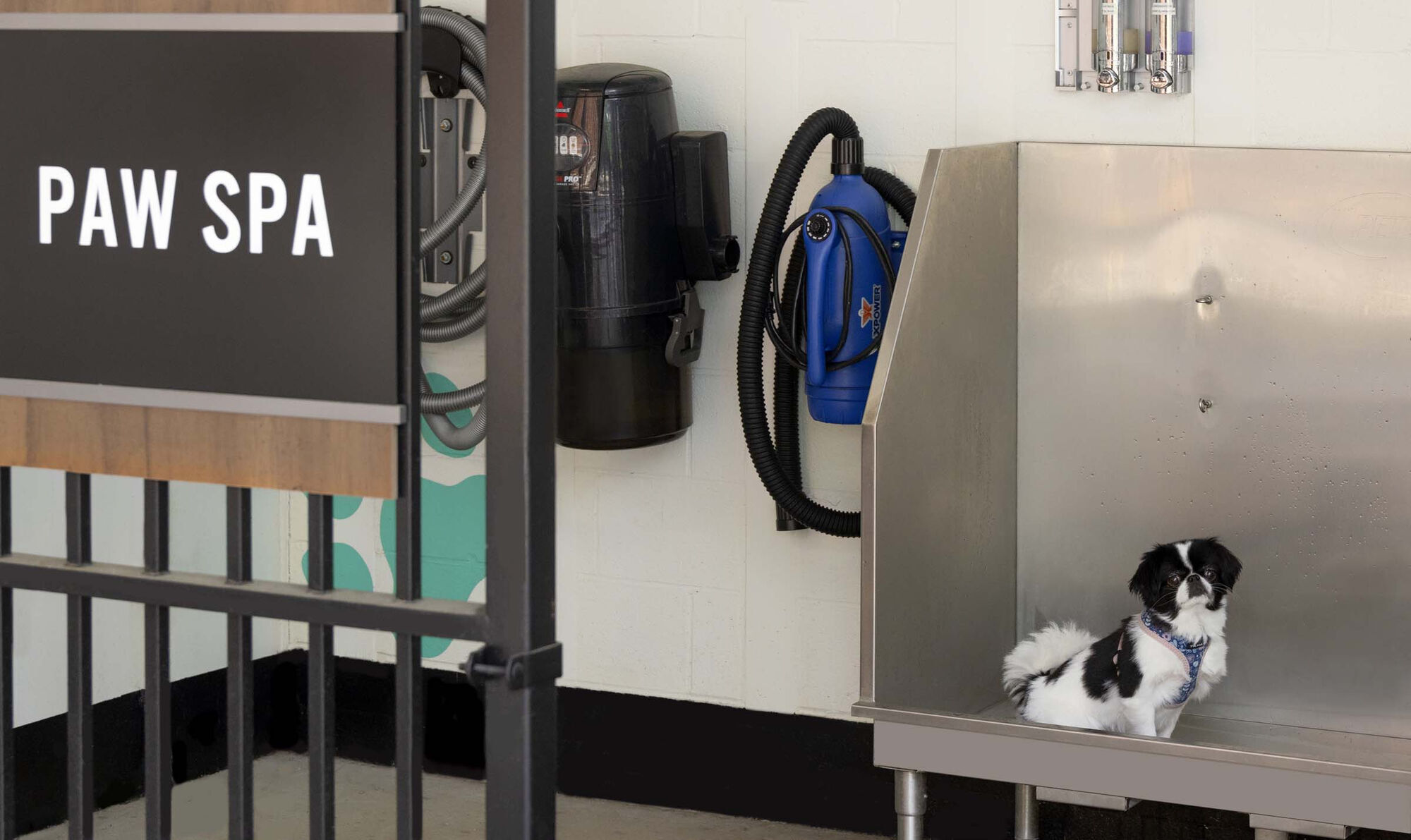 Camden Franklin Park Image 44