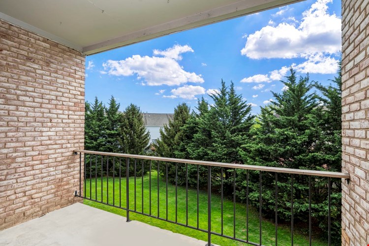 Jefferson Chase  Image 14