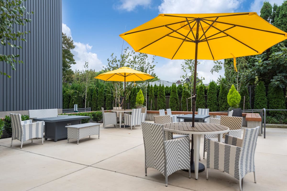 Hawthorne 31 Image 2