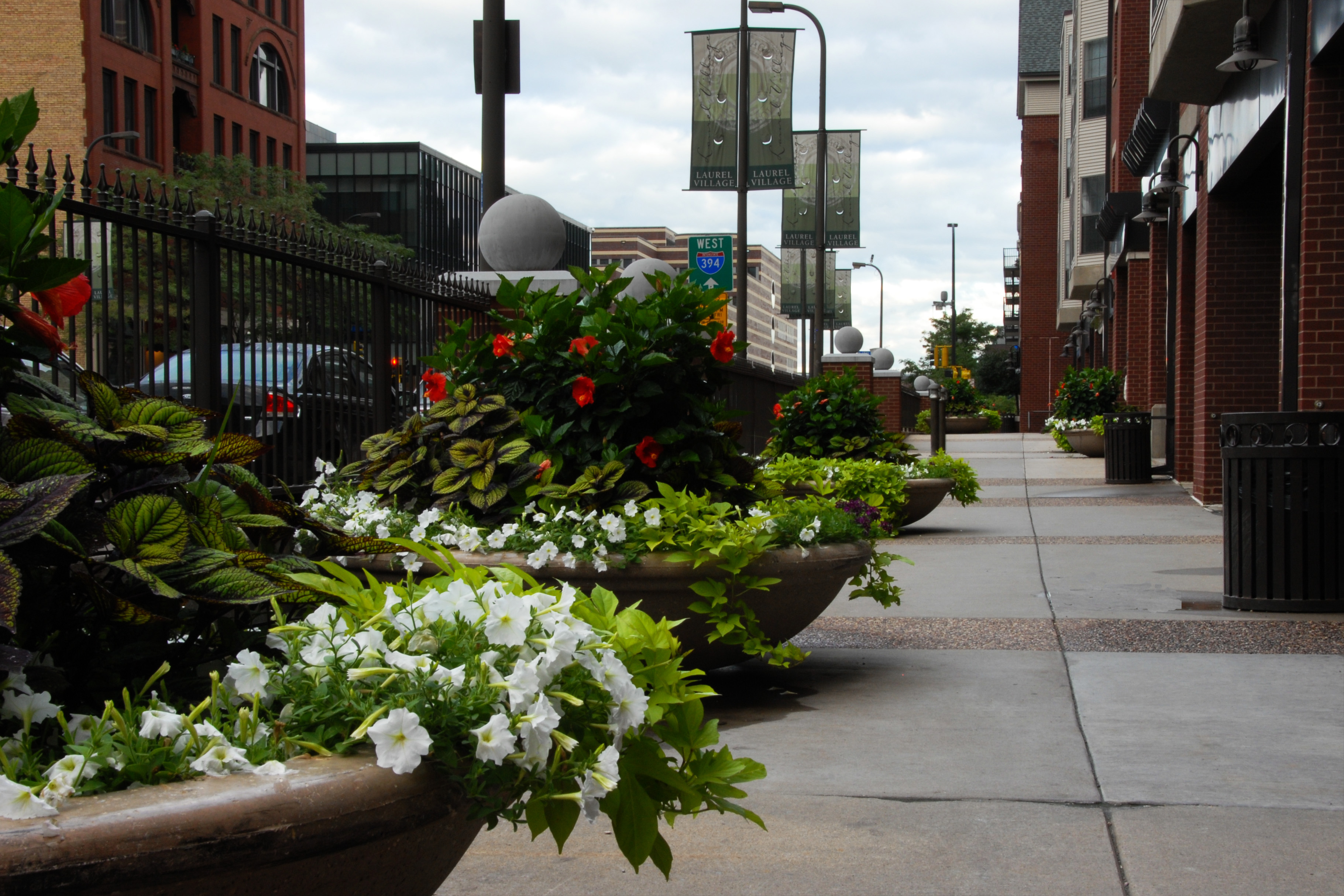 Laurel Village  Image 34