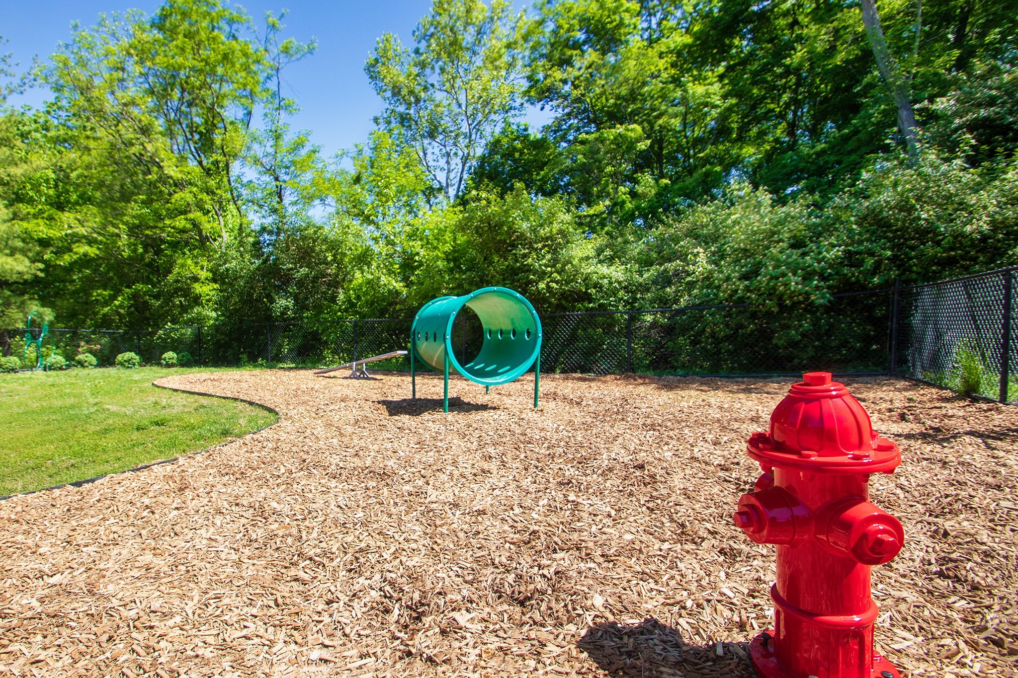 Deer Hill Image 63