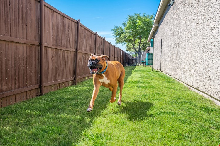 Briargrove At Vail Image 13