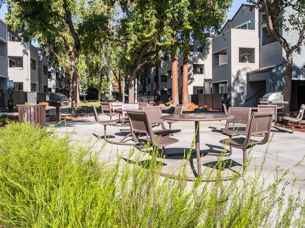 BBQ and picnic area