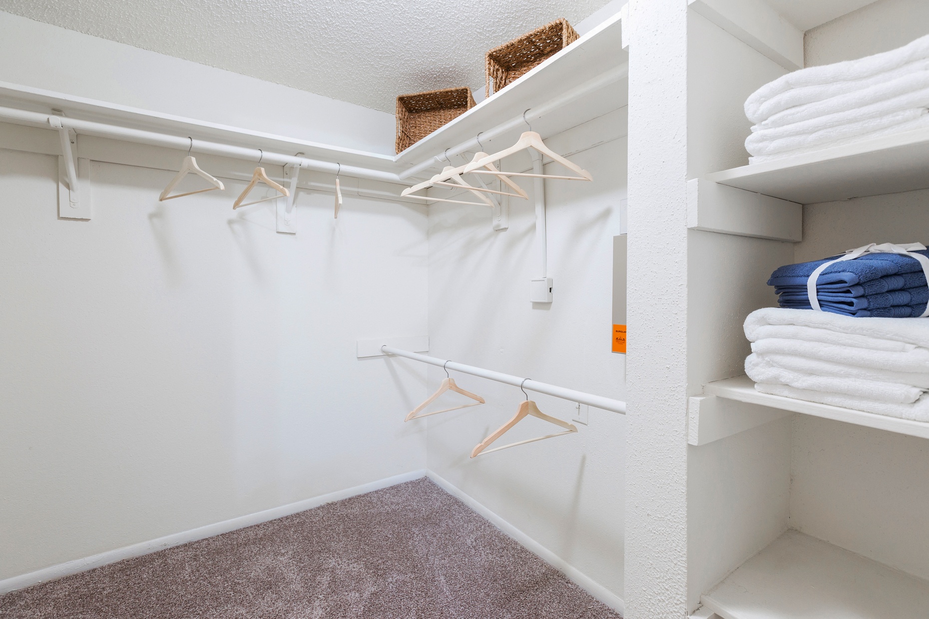 Northgreen at Carrollwood Image 14