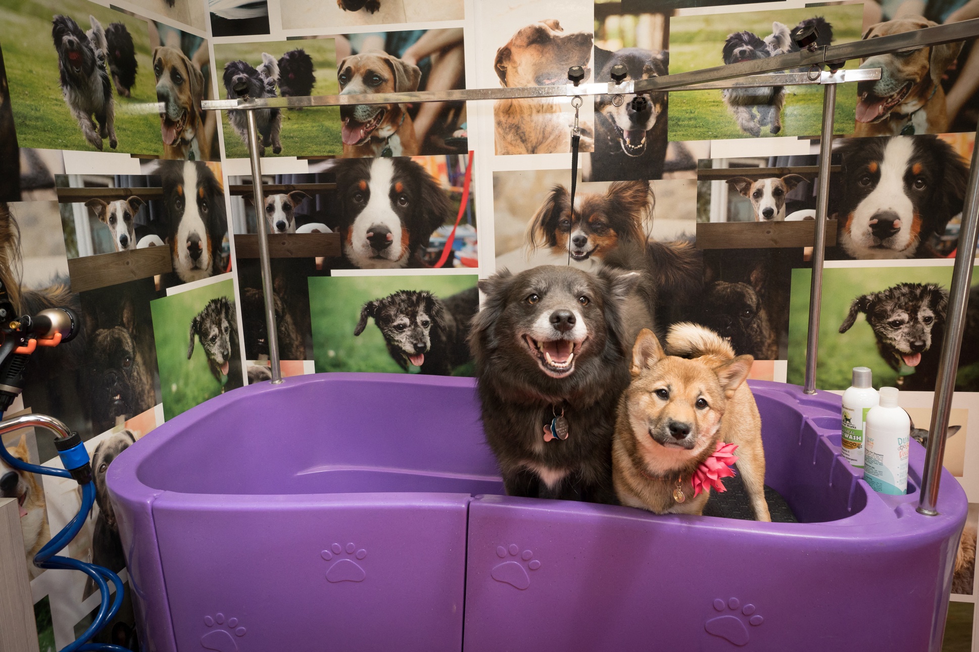 Artisan Twickenham Square Image 18