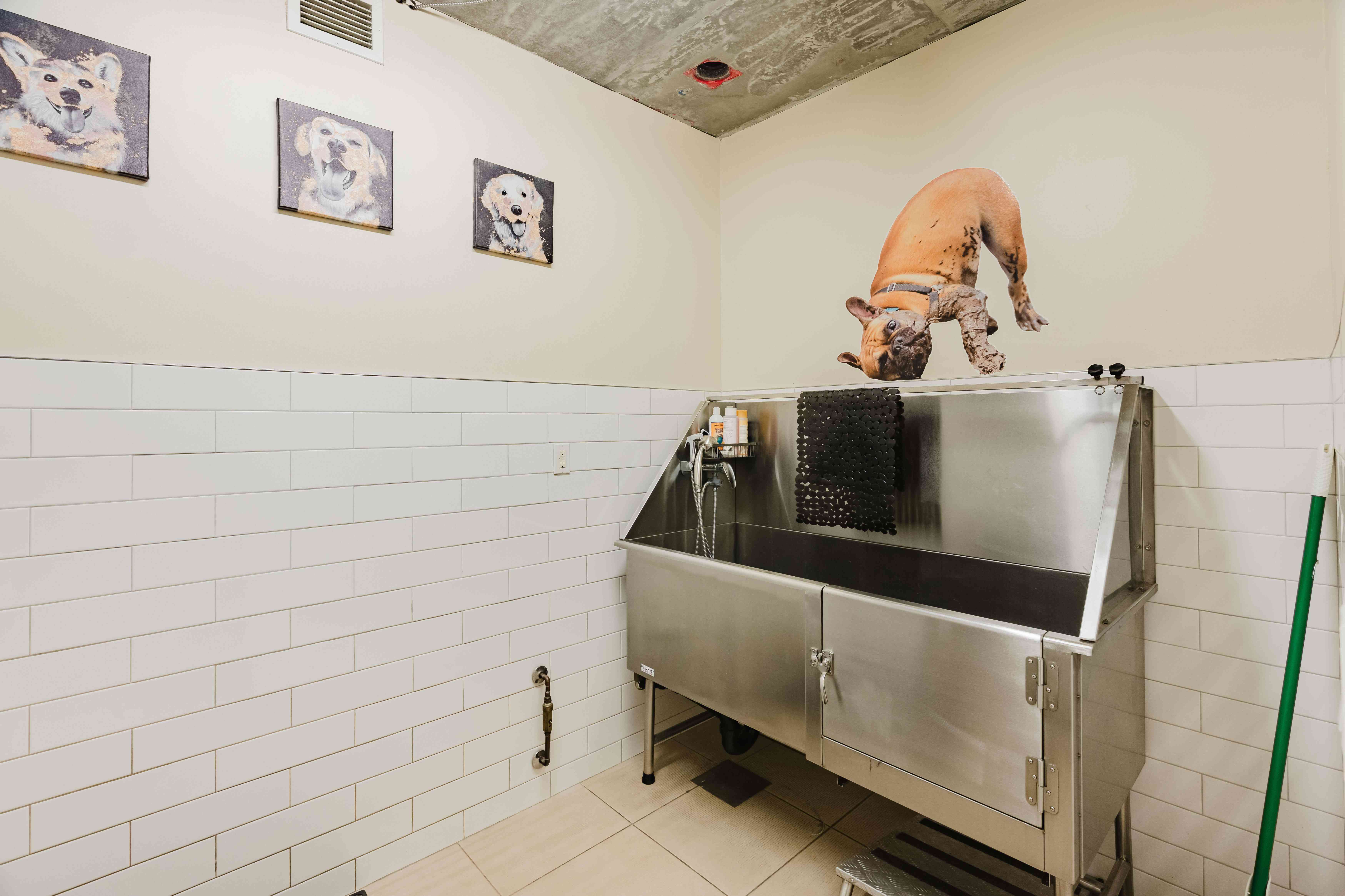 Pet Washing Station