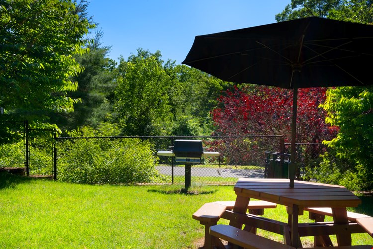 The Point at Still River Image 16