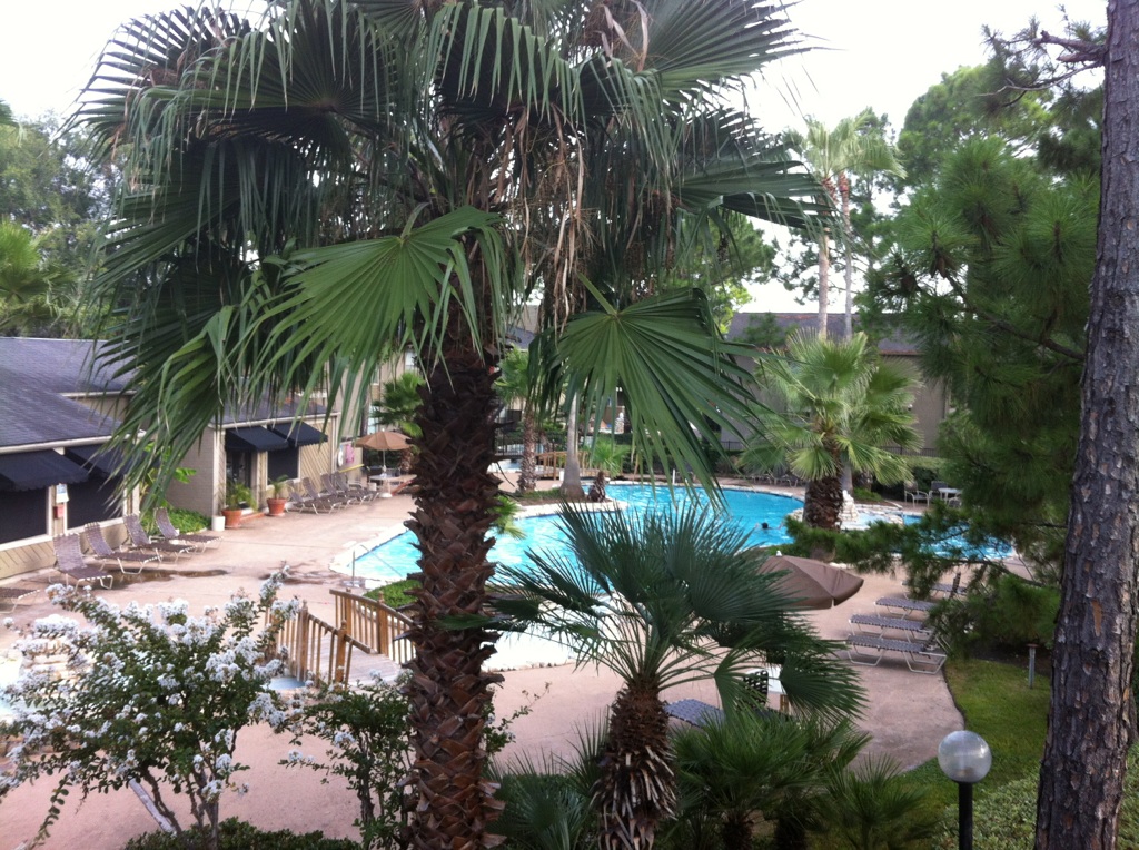 Arrowood Apartments Image 11