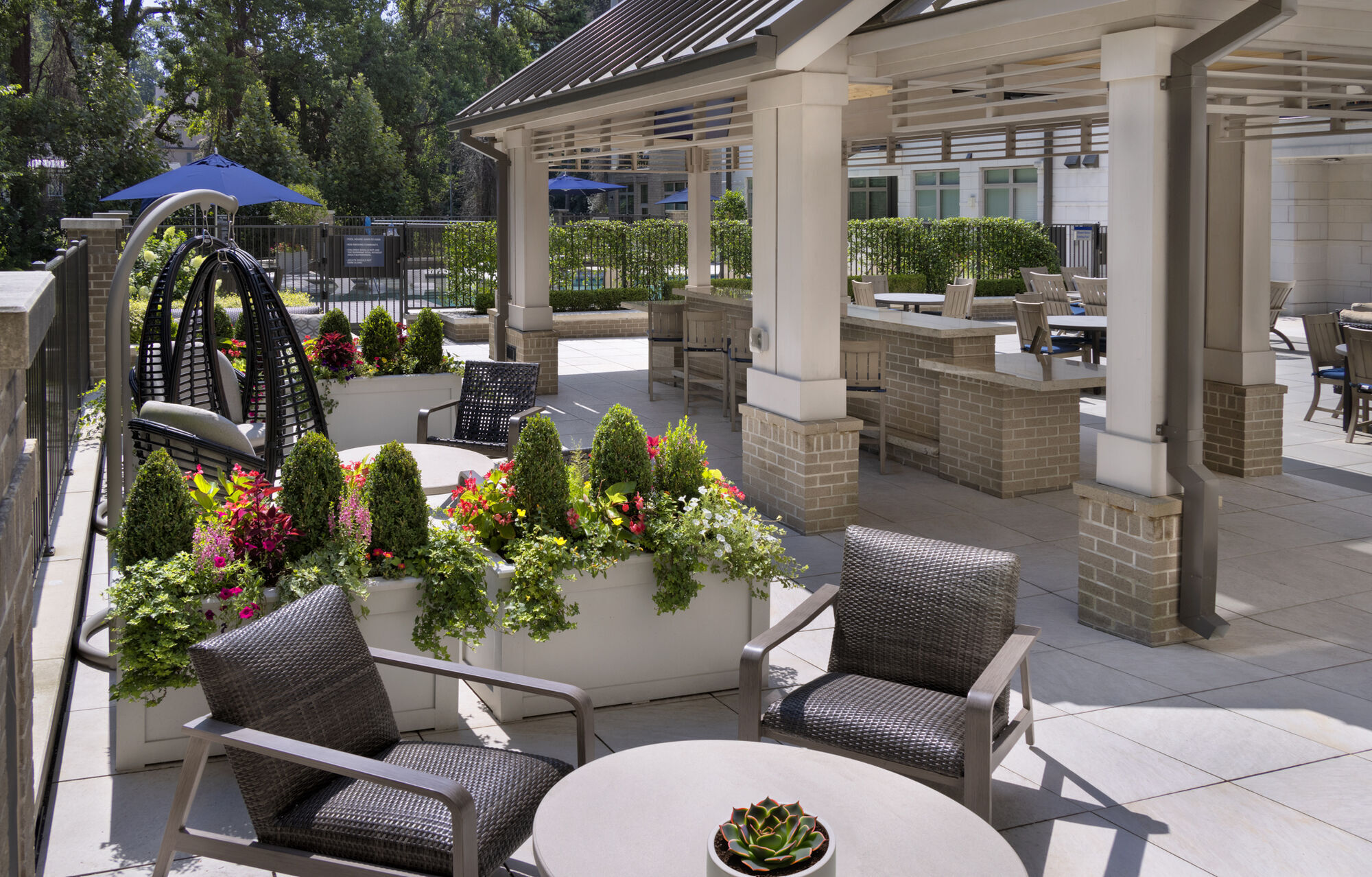 Camden Carolinian Image 19