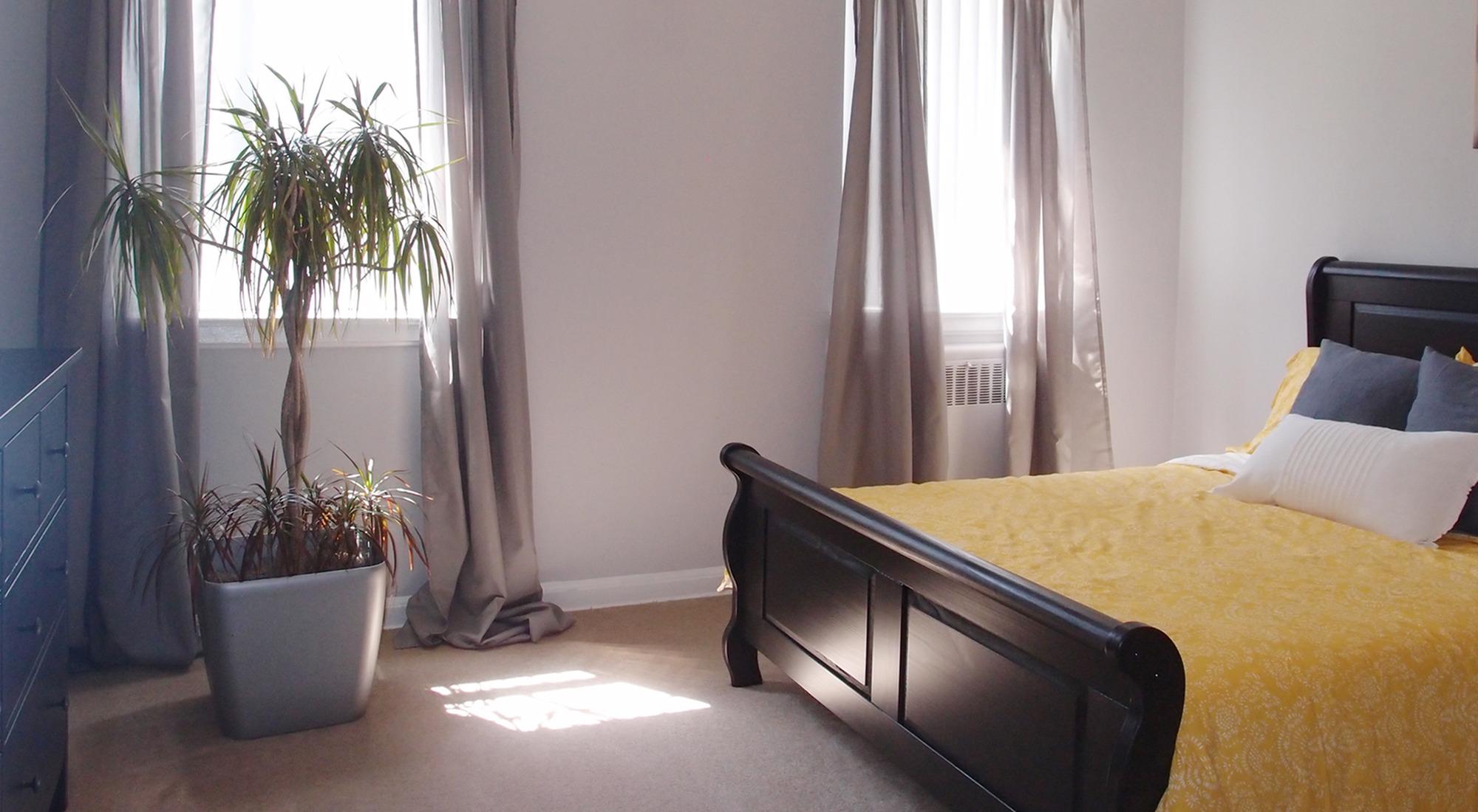 Hampton Gardens Image 14