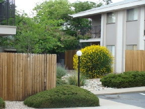 North Park Apartments Image 4