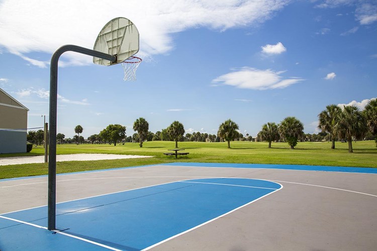 Play a game at our on-site basketball court.
