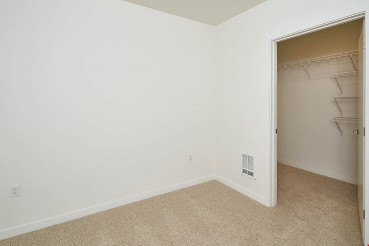 Springline  Image 47