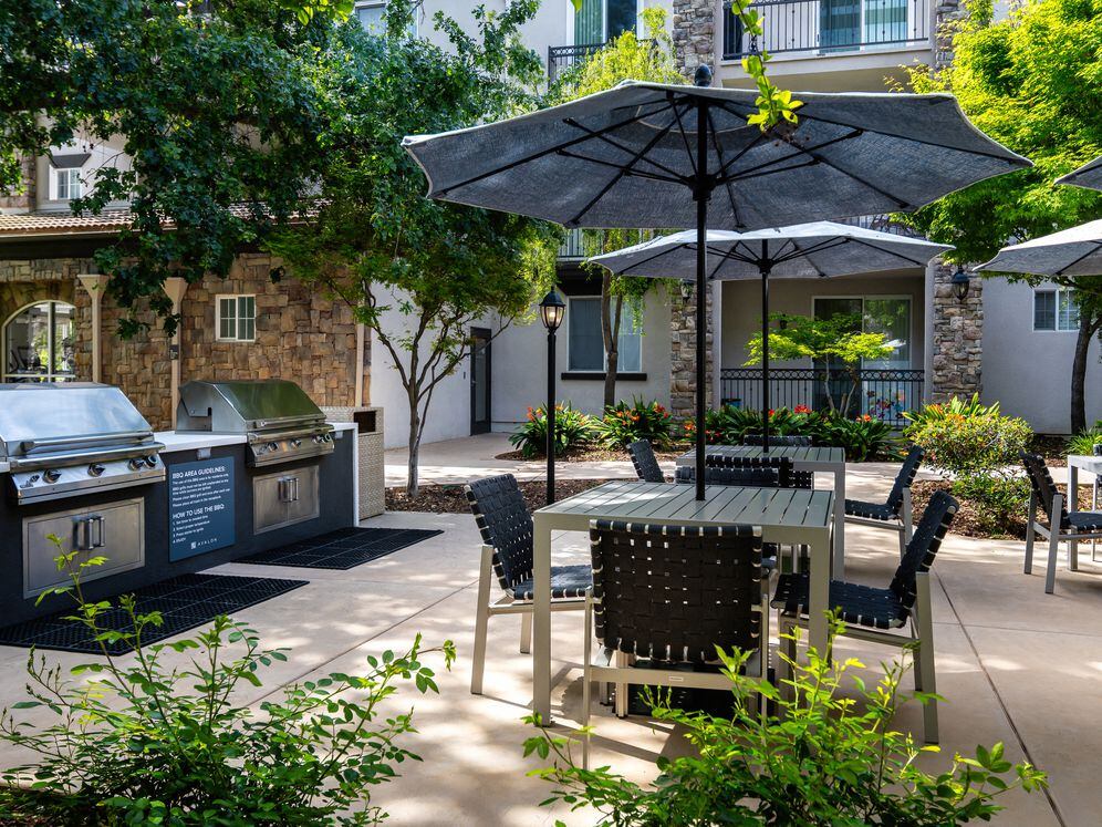 BBQ grills and picnic areas