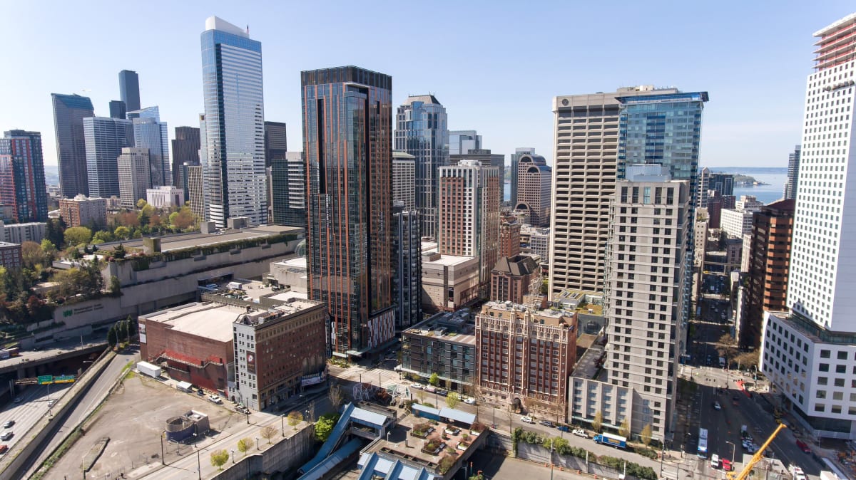 Nine and Pine Image 3