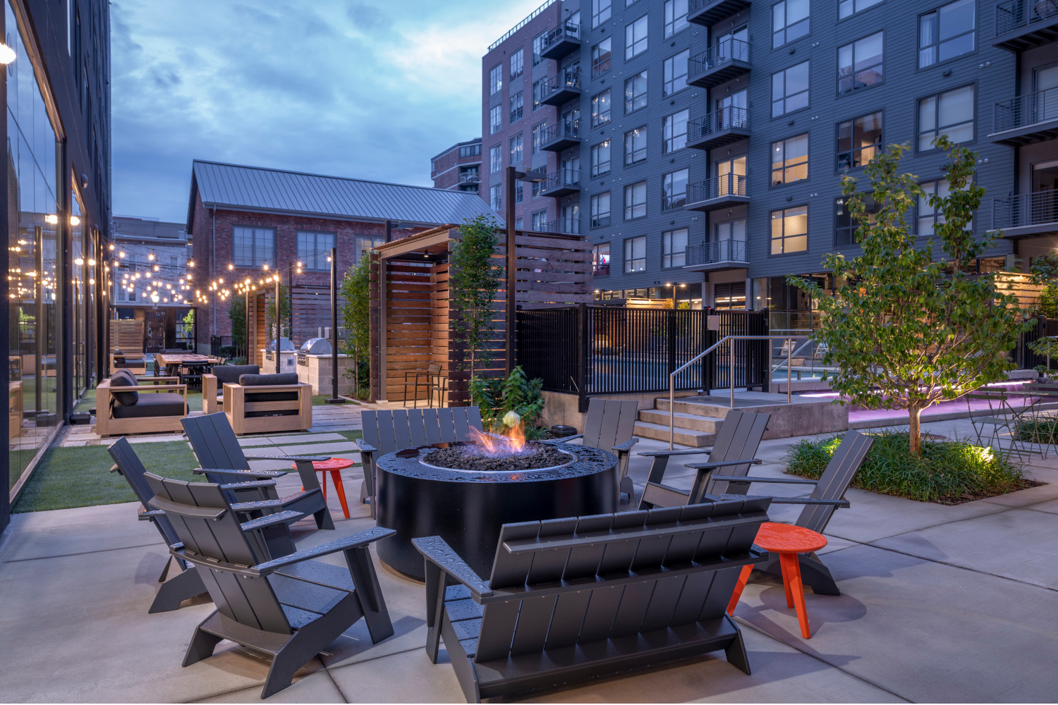 The Audubon Image 36