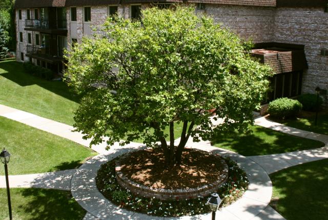 Creekwood Estates Image 2