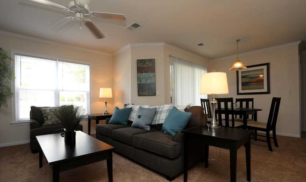 The Reflections of West Creek Image 8