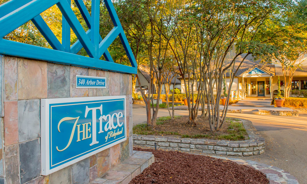 The Trace of Ridgeland Image 1