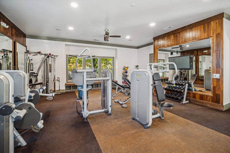 Berkshire Aspen Grove Image 29