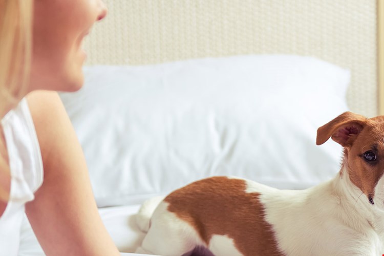 The Woodlands at Capital Way Image 19