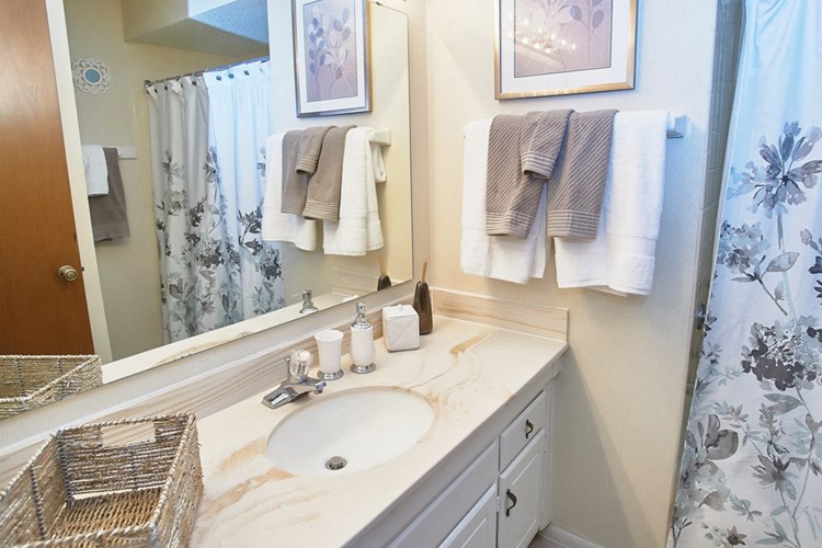Classic Series Bathroom at Somerset Lakes