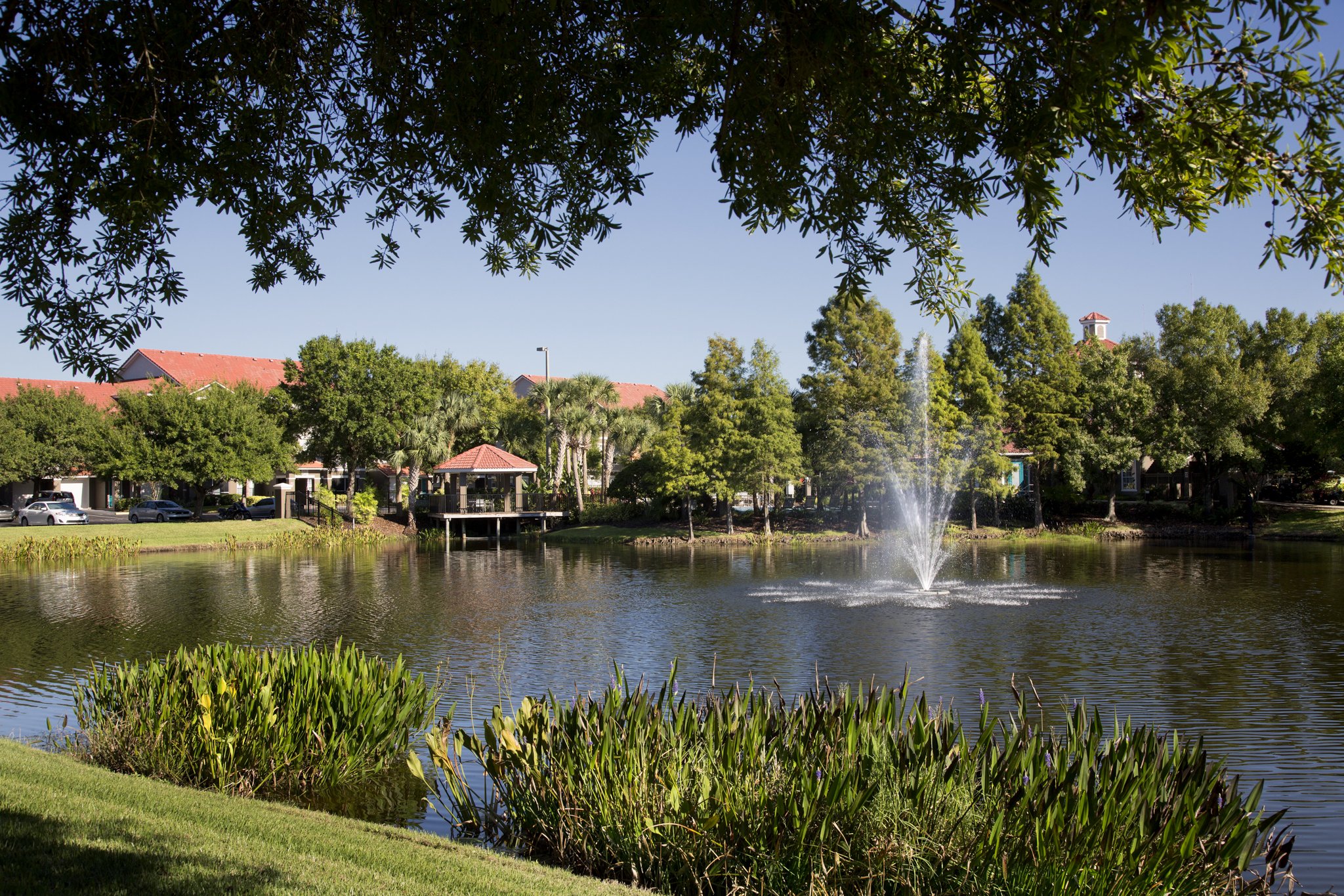 Camden Bay Image 35